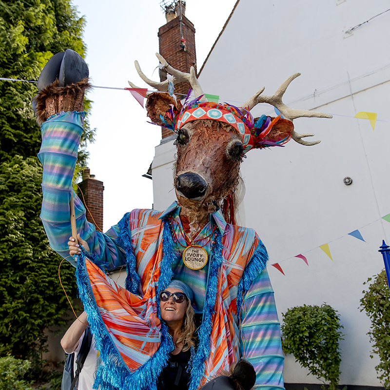Reigate Summer Festival mascot